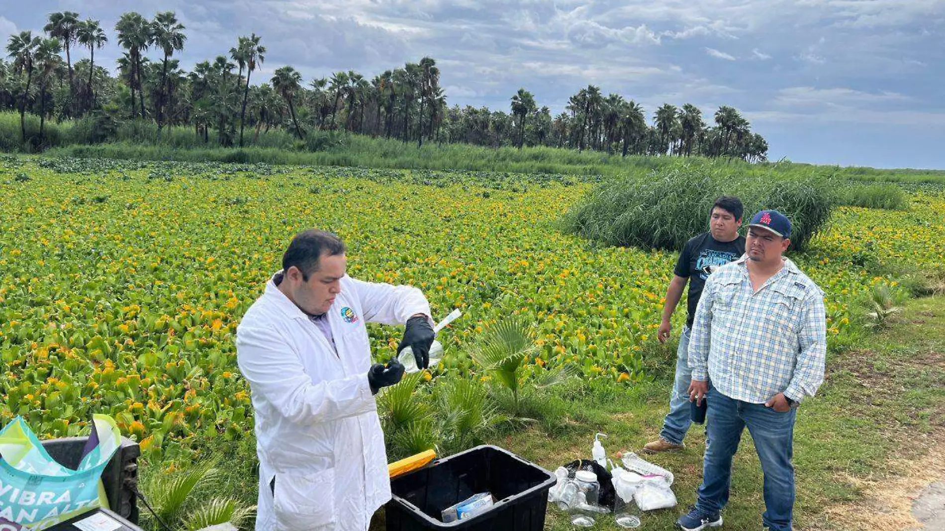 Ecologia montoreando agua del estero san jose